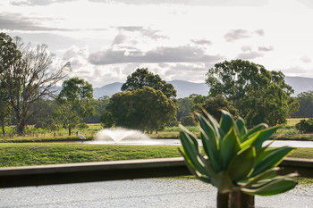 Lilies Luxury Retreats - Tourism Cairns 44