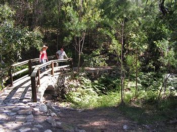 Glass House Mountains Ecolodge - Tourism Cairns 9