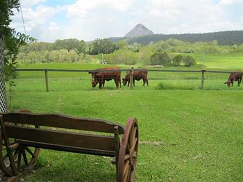 Blackwattle Farm B&B And Farm Stay - Tourism Cairns 1