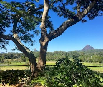 Blackwattle Farm B&B And Farm Stay - Tourism Cairns 9