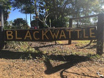 Blackwattle Farm B&B And Farm Stay - Tourism Cairns 10