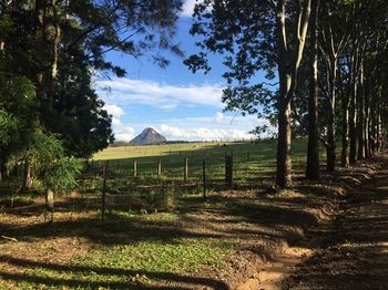 Blackwattle Farm B&B And Farm Stay - Tourism Cairns 12