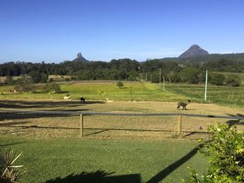 Blackwattle Farm B&B And Farm Stay - Tourism Cairns 29