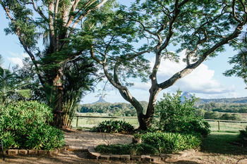 Blackwattle Farm B&B And Farm Stay - Tourism Cairns 45