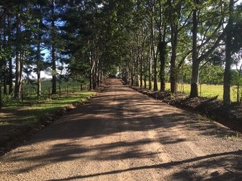 Blackwattle Farm B&B And Farm Stay - Tourism Cairns 46
