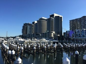 Apartments Melbourne Domain - Docklands - Tourism Cairns 4