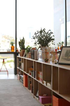 Art Series - The Larwill Studio - Tourism Cairns 20