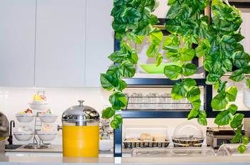 Ibis Budget Sydney East - Tourism Cairns 29