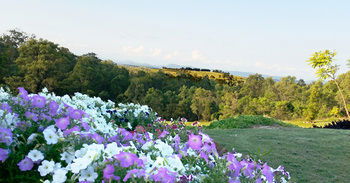 Wine Country Villas - Tourism Cairns 27