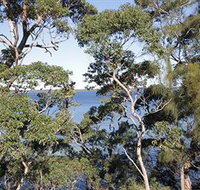 The Edgewater Bed amp Breakfast - Tourism Cairns