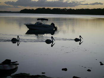 Dungowan Waterfront Apartments - Tourism Cairns 143