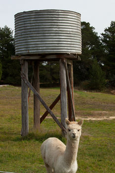 Seclusions Blue Mountains - Tourism Cairns 6
