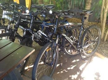 Noosa Backpackers Resort - Hostel - Tourism Cairns 4
