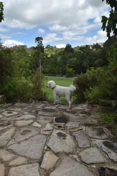 Coverdales B & B At Eumundi - Tourism Cairns 23