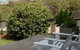 Culburra Beach House - thumb 10