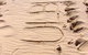 Culburra Beach House - thumb 12
