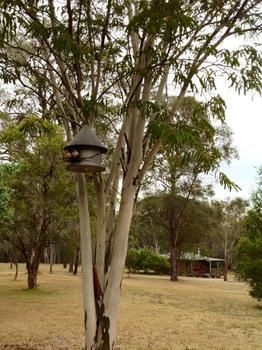 Buffs At Pokolbin - Tourism Cairns 2