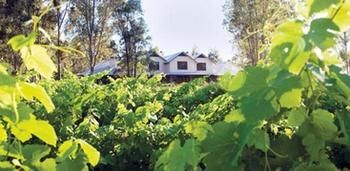 Spicers Vineyards Estate - Tourism Cairns 3