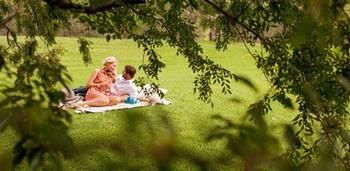 Spicers Vineyards Estate - Tourism Cairns 4