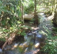 Treetops Accommodation Montville - Tourism Cairns
