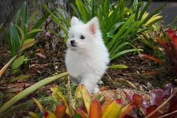 Mapleton Cabins & Caravan Park - Tourism Cairns 8