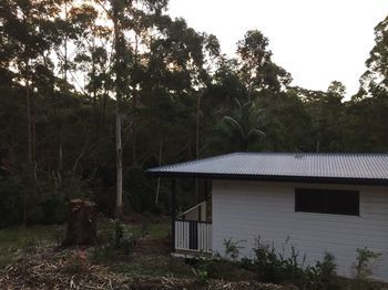 Mapleton Cabins & Caravan Park - Tourism Cairns 19