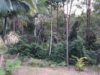Mapleton Cabins & Caravan Park - Tourism Cairns 27