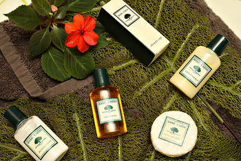 Mapleton Cabins & Caravan Park - Tourism Cairns 31