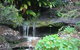 Beachview Homestay - thumb 5