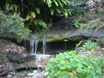 Beachview Homestay - Tourism Cairns 5