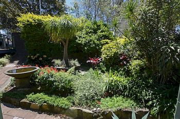 Beachview Homestay - Tourism Cairns 10