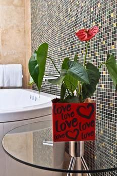 Deja Vu Estate - Tourism Cairns 12