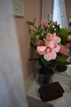 Meurants Manor Bed And Breakfast - Tourism Cairns 17
