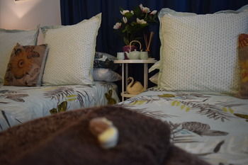 Meurants Manor Bed And Breakfast - Tourism Cairns 38