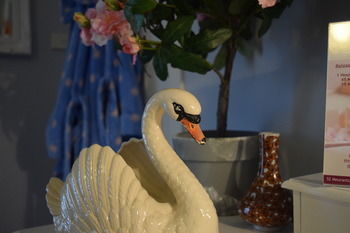 Meurants Manor Bed And Breakfast - Tourism Cairns 39