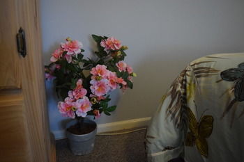 Meurants Manor Bed And Breakfast - Tourism Cairns 42