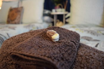 Meurants Manor Bed And Breakfast - Tourism Cairns 52