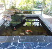 The Willows - Tourism Cairns