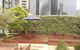 CitySide - thumb 11