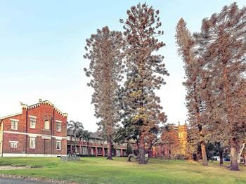 Mercure Maitland Monte Pio - Tourism Cairns 52