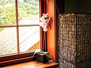 The Regents Park - Tourism Cairns 25