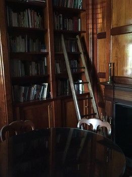 The Regents Park - Tourism Cairns 38