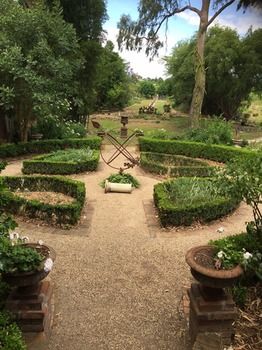 The Regents Park - Tourism Cairns 53