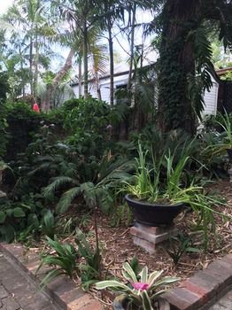 The Regents Park - Tourism Cairns 55