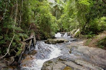 Bellthorpe Stays - Tourism Cairns 18