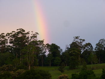 Bellthorpe Stays - Tourism Cairns 19