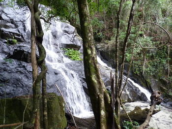 Bellthorpe Stays - Tourism Cairns 21