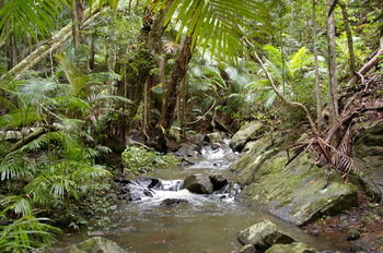 Bellthorpe Stays - Tourism Cairns 25