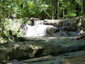 Bellthorpe Stays - Tourism Cairns 27