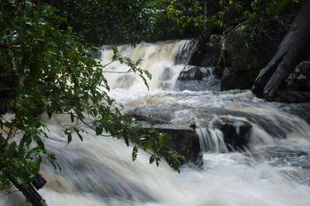 Bellthorpe Stays - Tourism Cairns 28